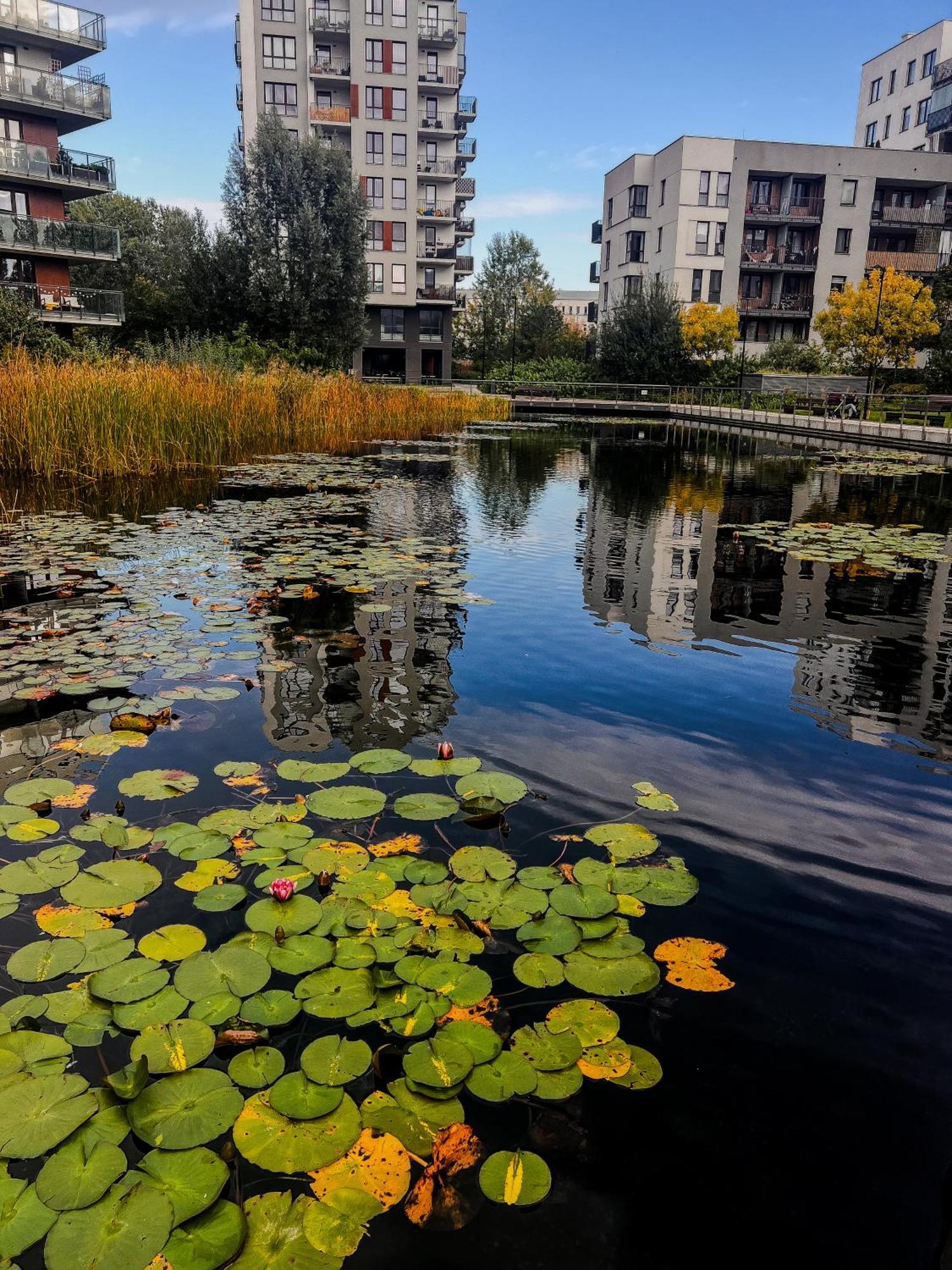华沙Lake Park Apartament With Free Parking Airport Netflix公寓 外观 照片